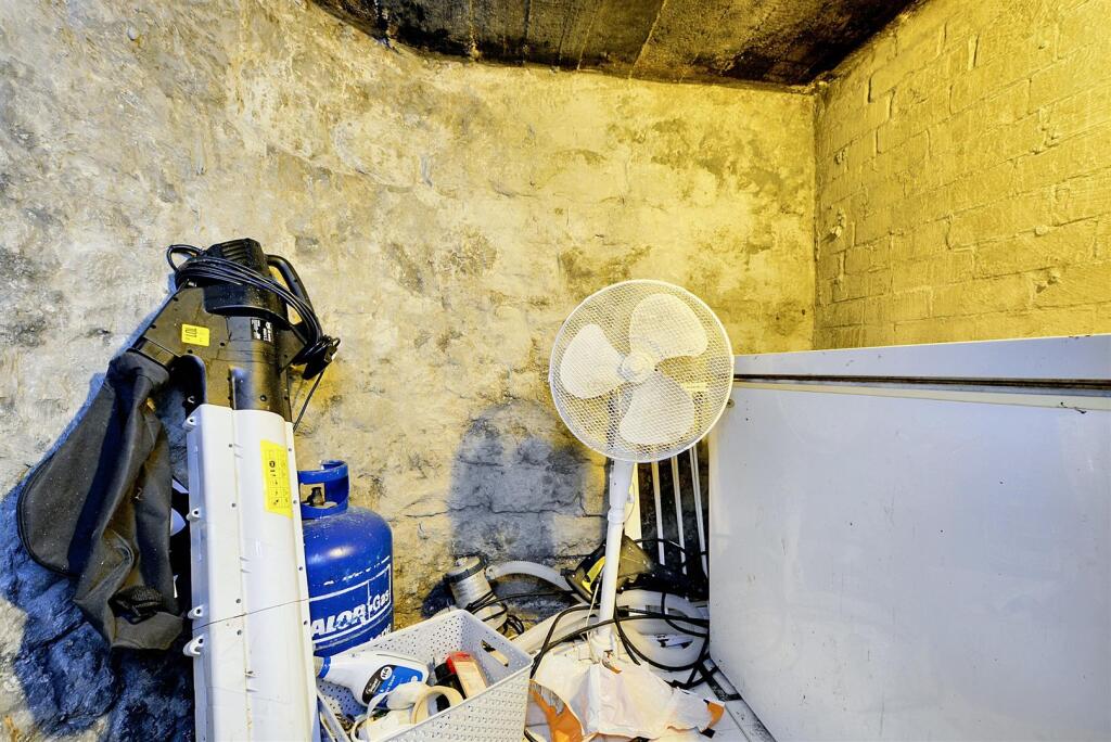 Store Continued.jpeg