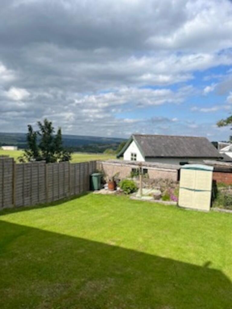back garden new 1