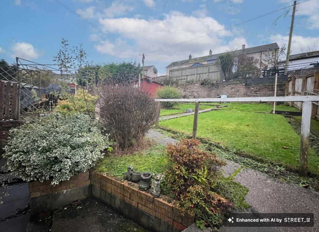 Back Garden