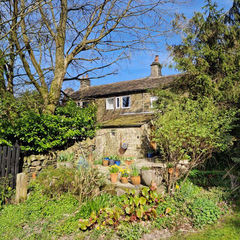 Rear Elevation