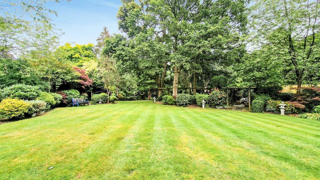 GARDEN 7.jpg