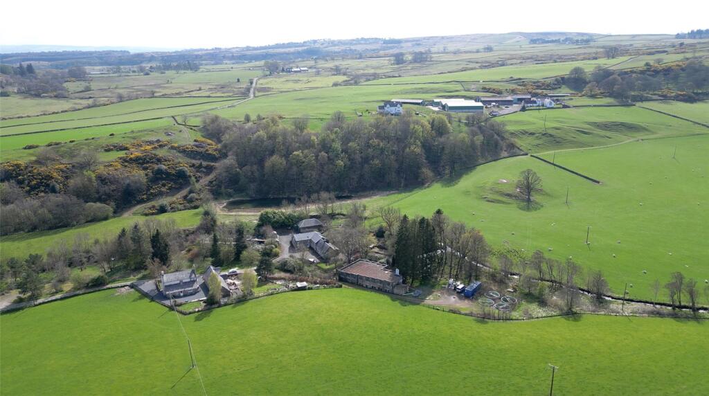 Picture No. 07