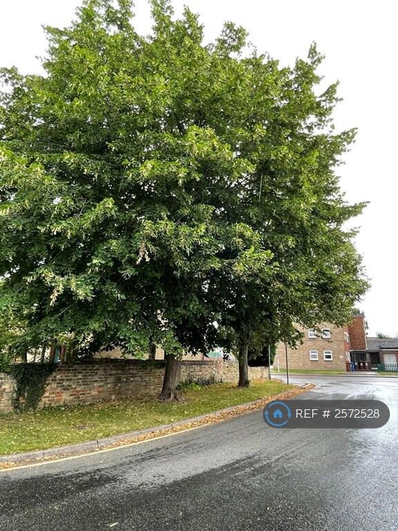 Street View From Entrance