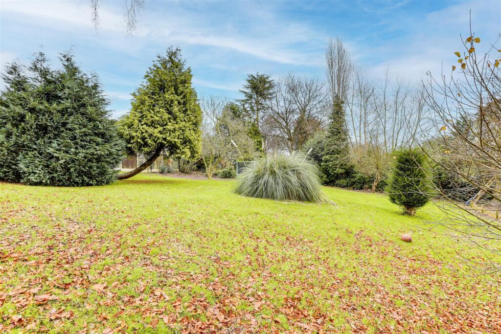 IMG_0301-IMG_0305 copy.jpg