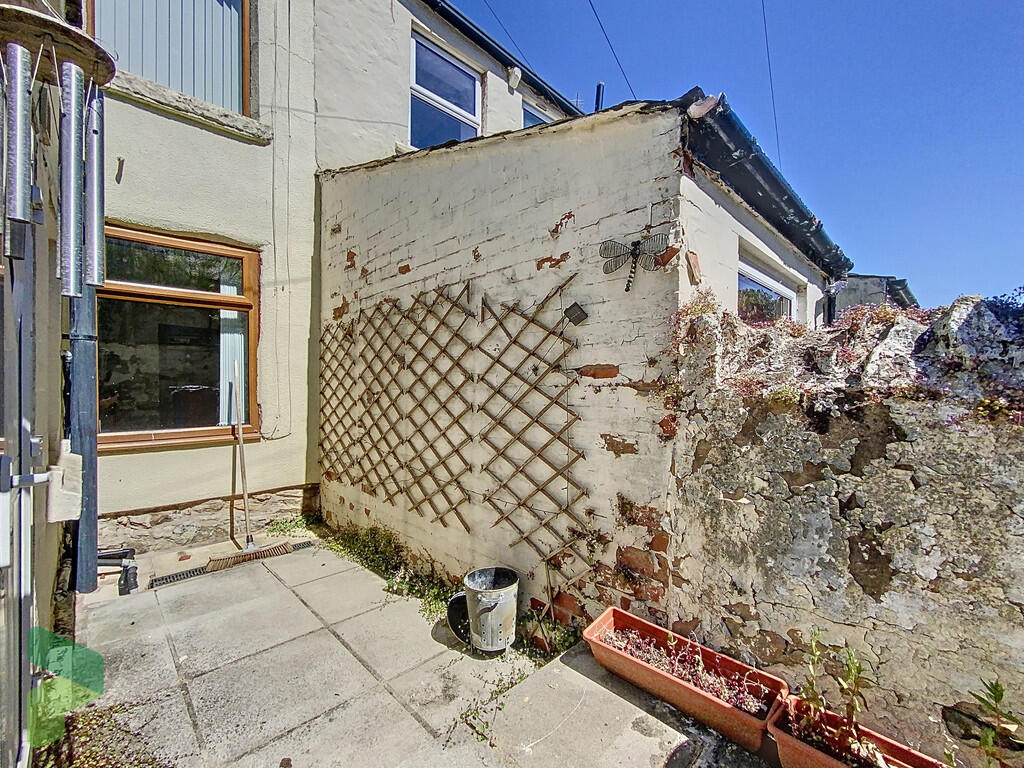 Rear Yard