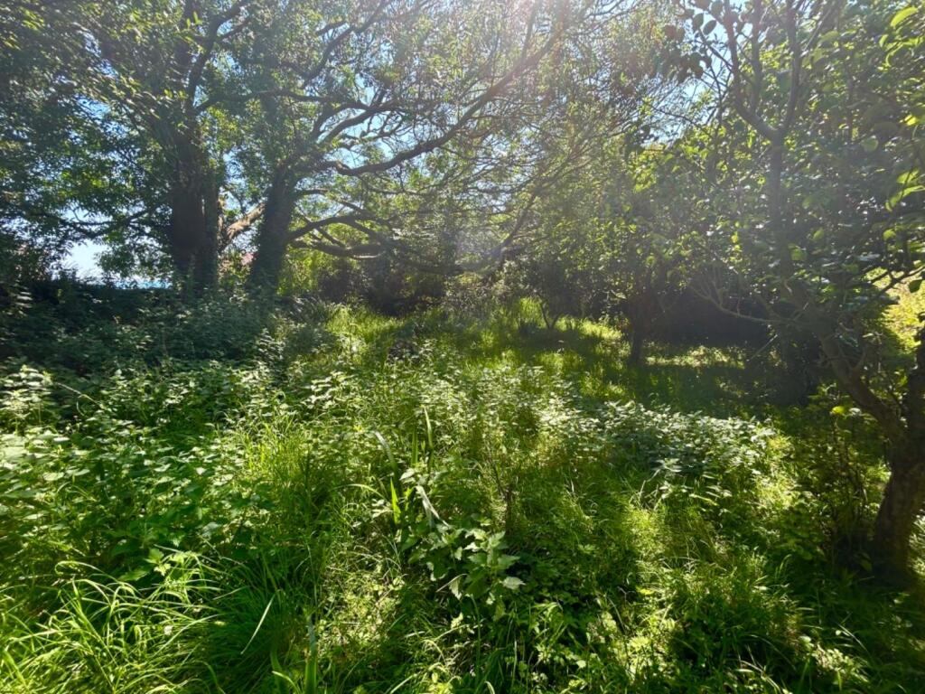 IMG_0627.jpeg