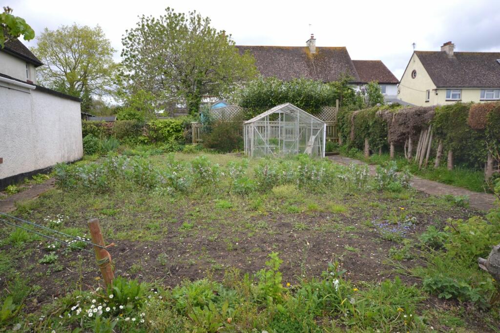 Veg Plot