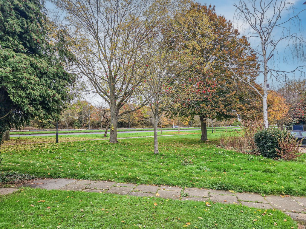surrounding view