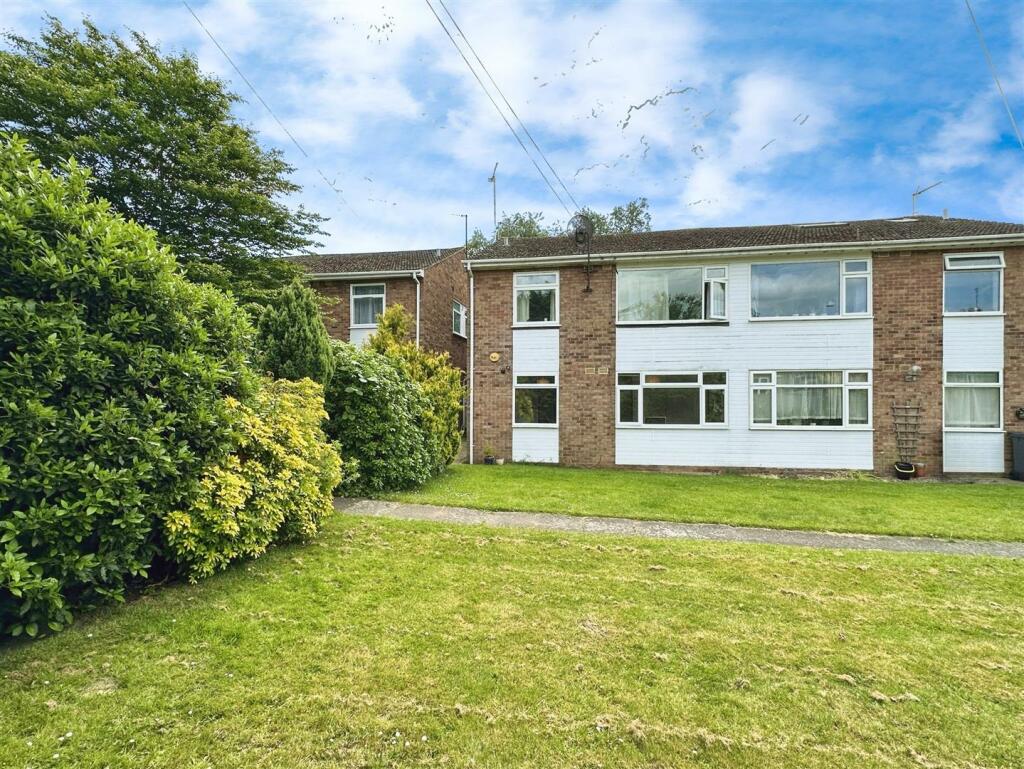 editedimage-de1e572a-65af-494a-8677-5081da5a6b0a 2