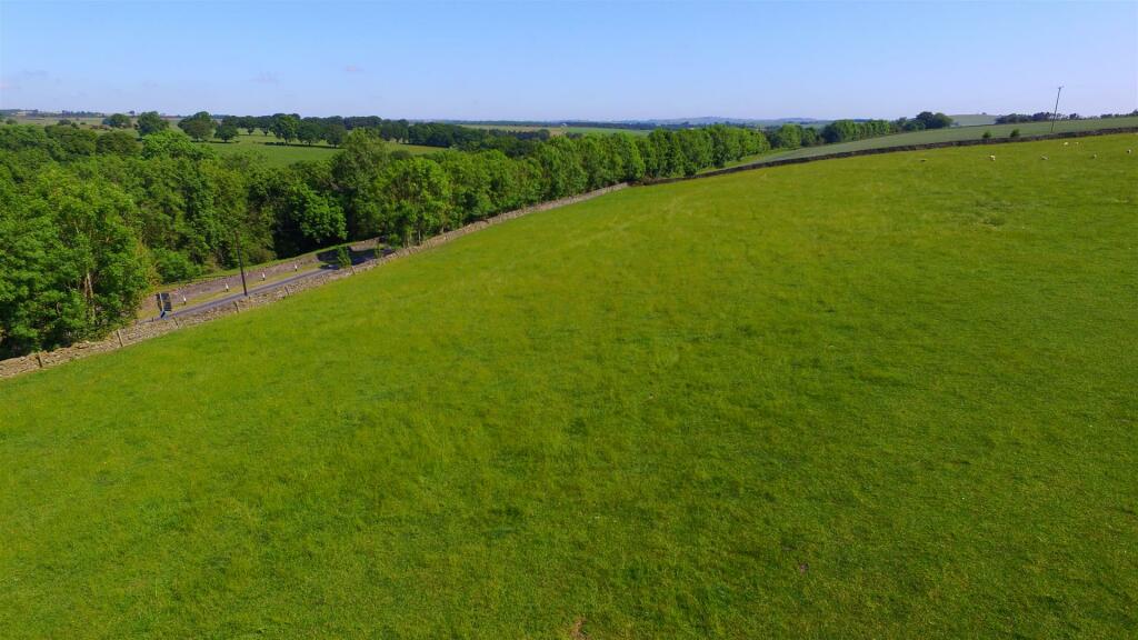 DJI_0728.JPG