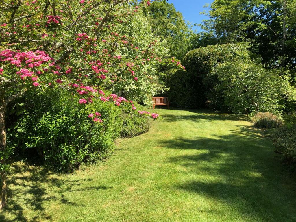 owner photo of garden in spring