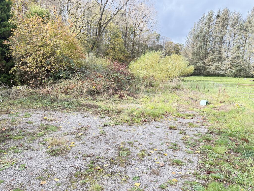 IMG 1747 T202510301648.jpg