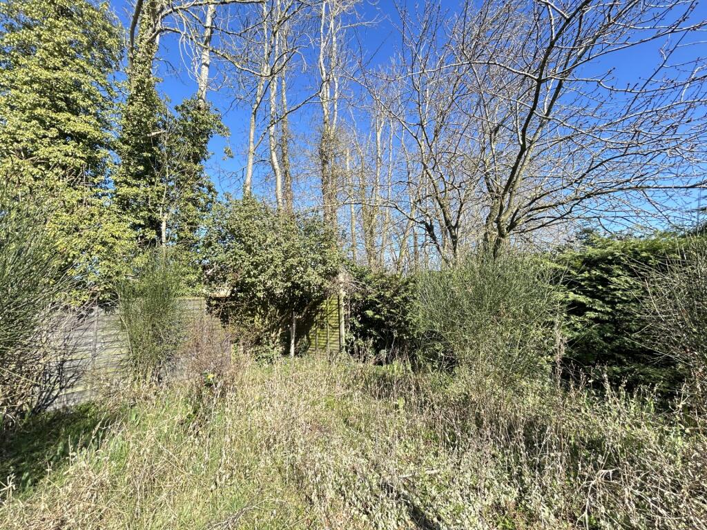 Garden 2