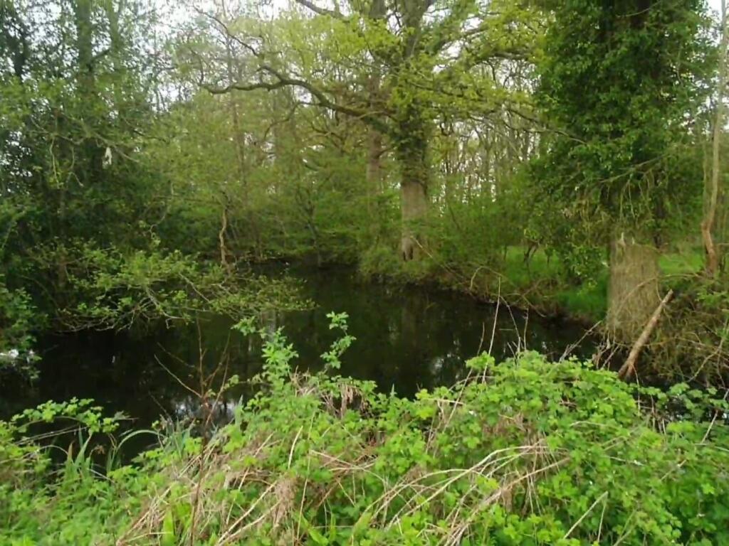 WhatsApp Image 2025-05-05 at 18.31.35 (5).jpeg