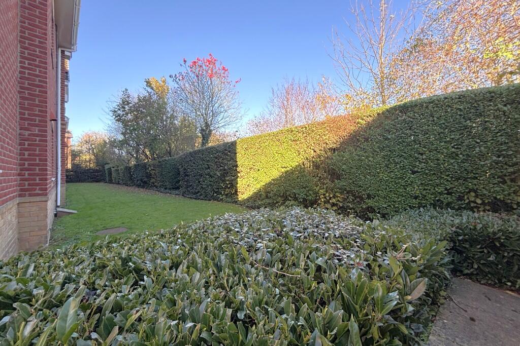 Communal Garden