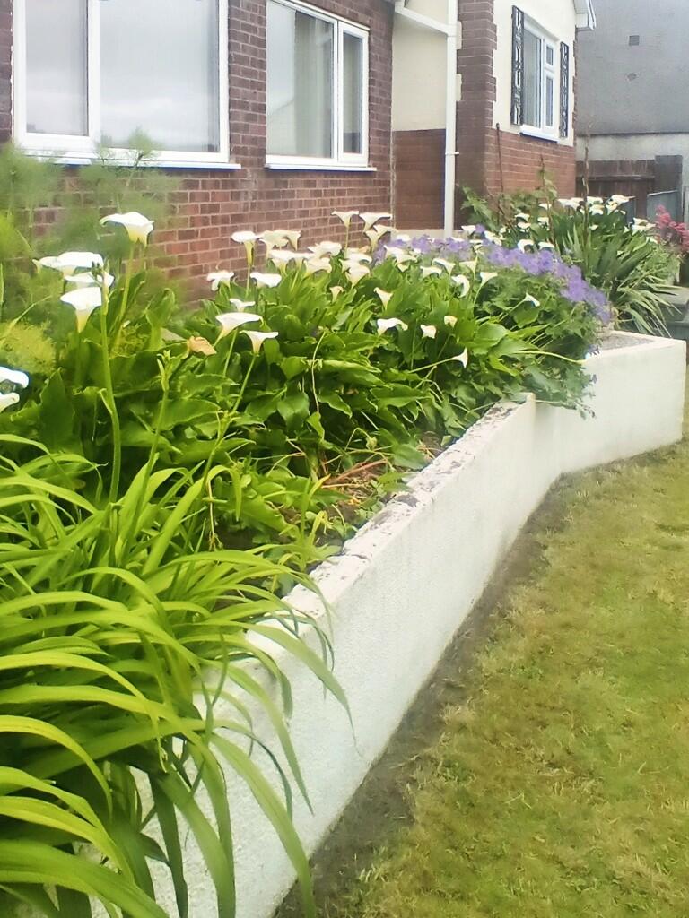 ce8ce280-IMG_2024...