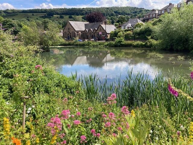 Flowers and millpond.jpg