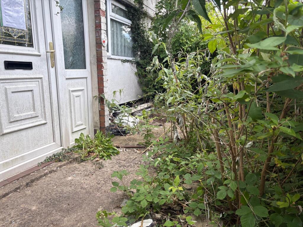 F086376a-ae29-446c-91fb-2919b68f2c2e T202507081459.jpg