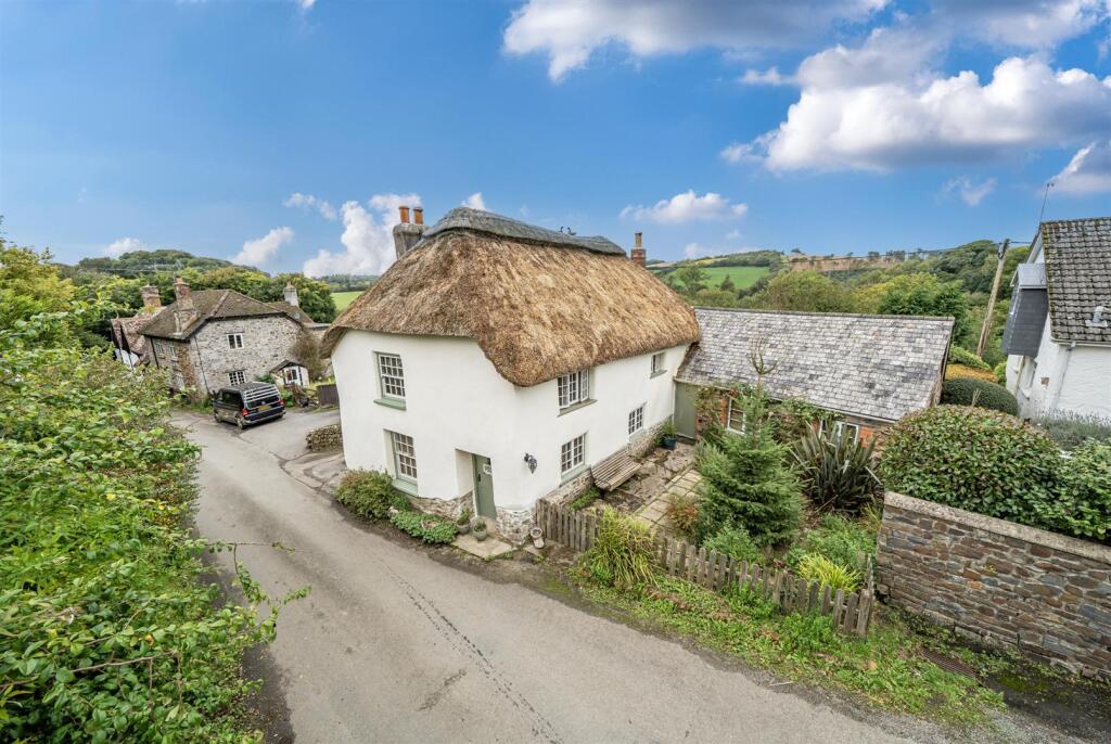 1355831-1-68cd56ce893df Elevated (1).jpg