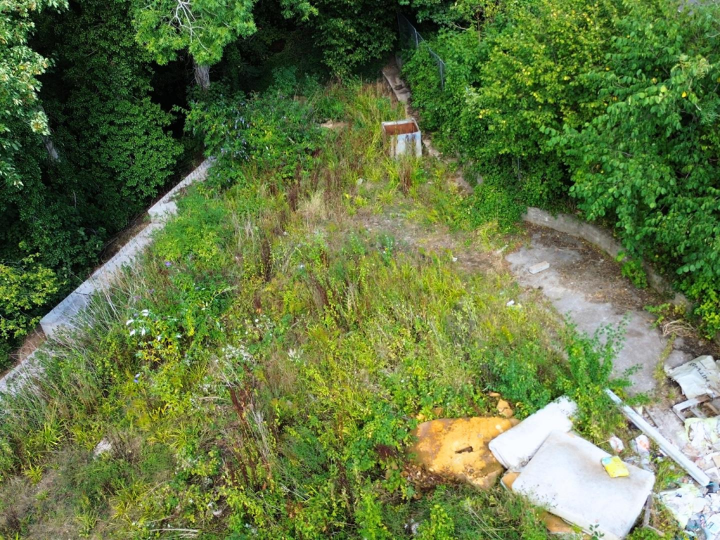 Untitled design (9).png