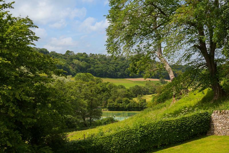 Garden and View