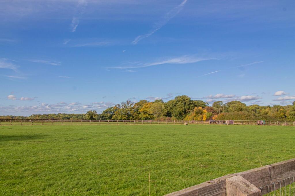 Dovedon Barn_Whepstead [Paddock Views] 02.jpg