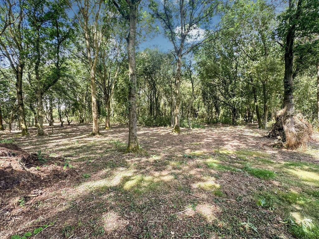 20240815_12272864...