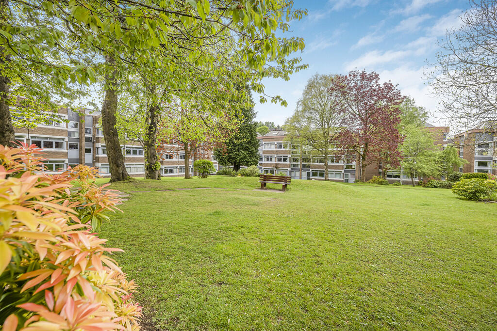 36-print-28 Lethi...