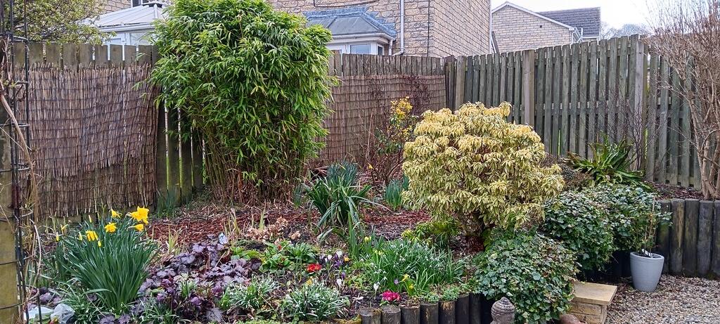 garden 4