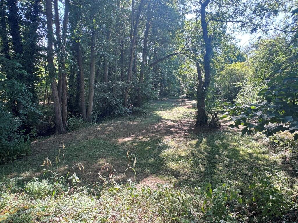 Woodland 3.JPG