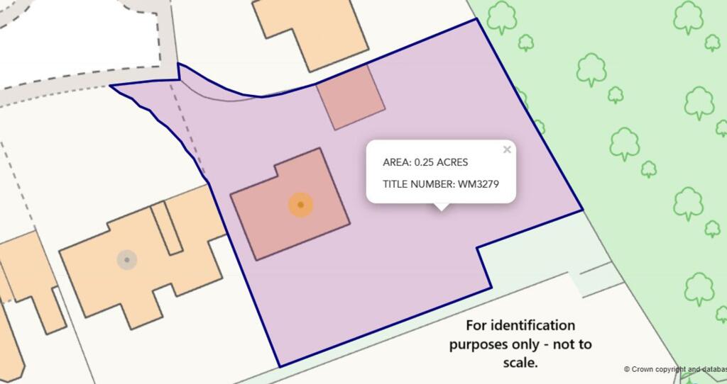 Plot Plan