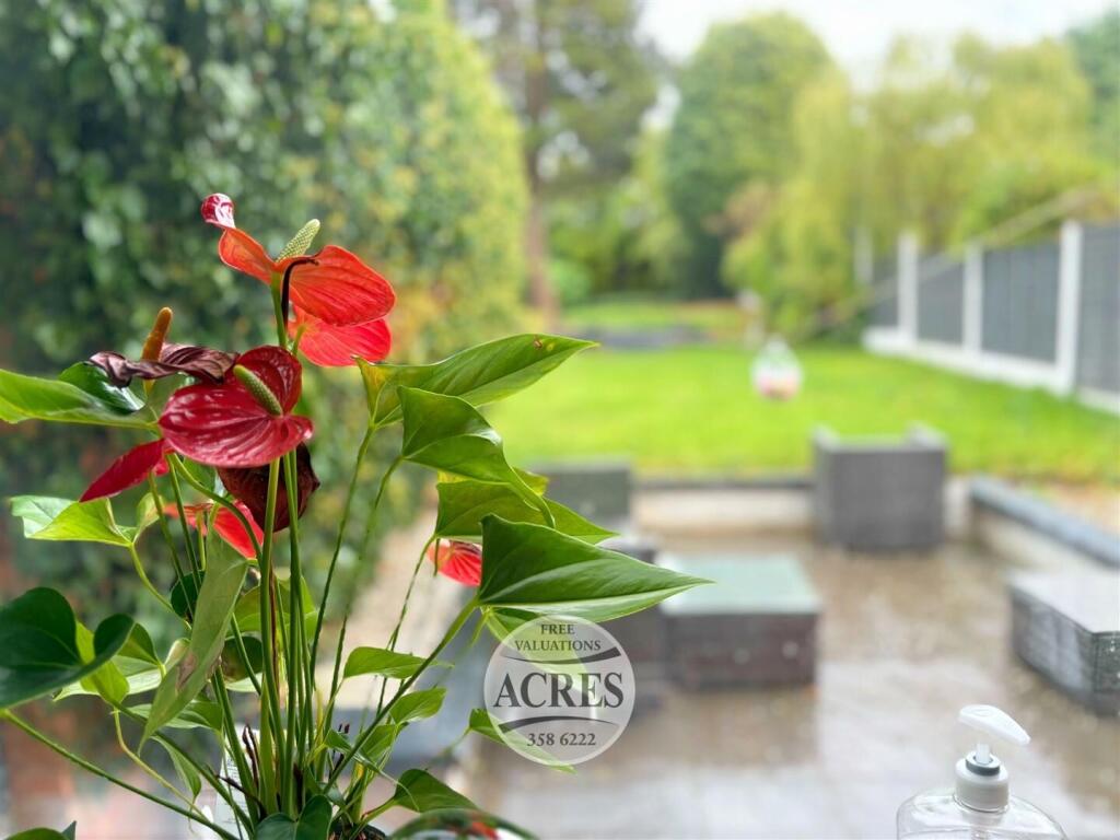 IMG_1941 (Large).jpg