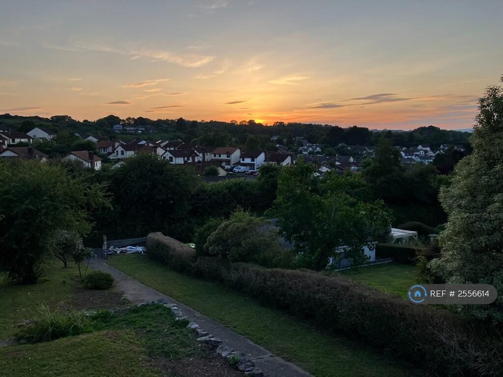 View From Front Patio