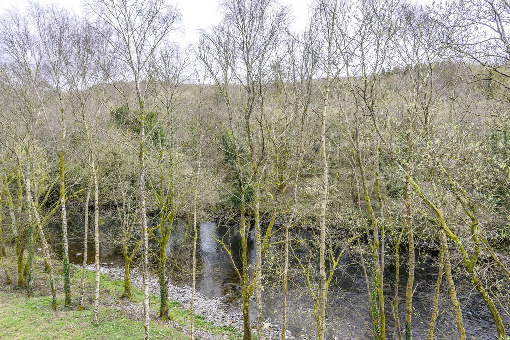 View to river