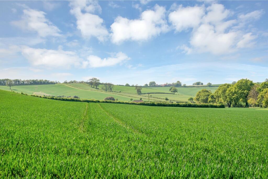 Farmland