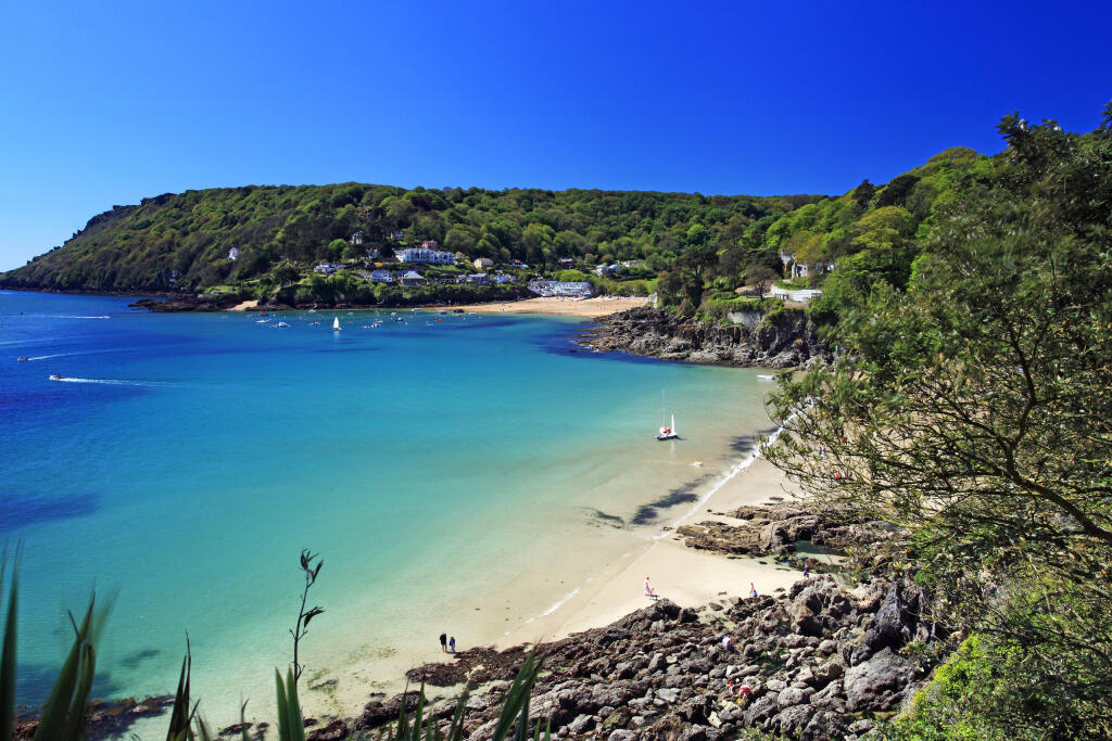 Salcombe town
