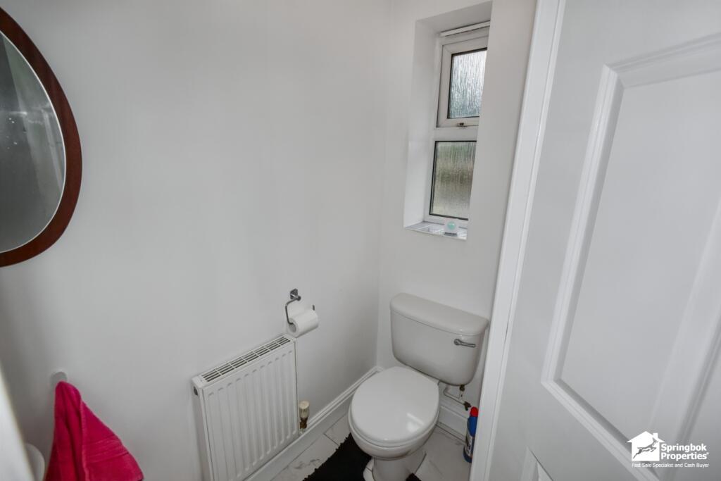 IMAGE 12
