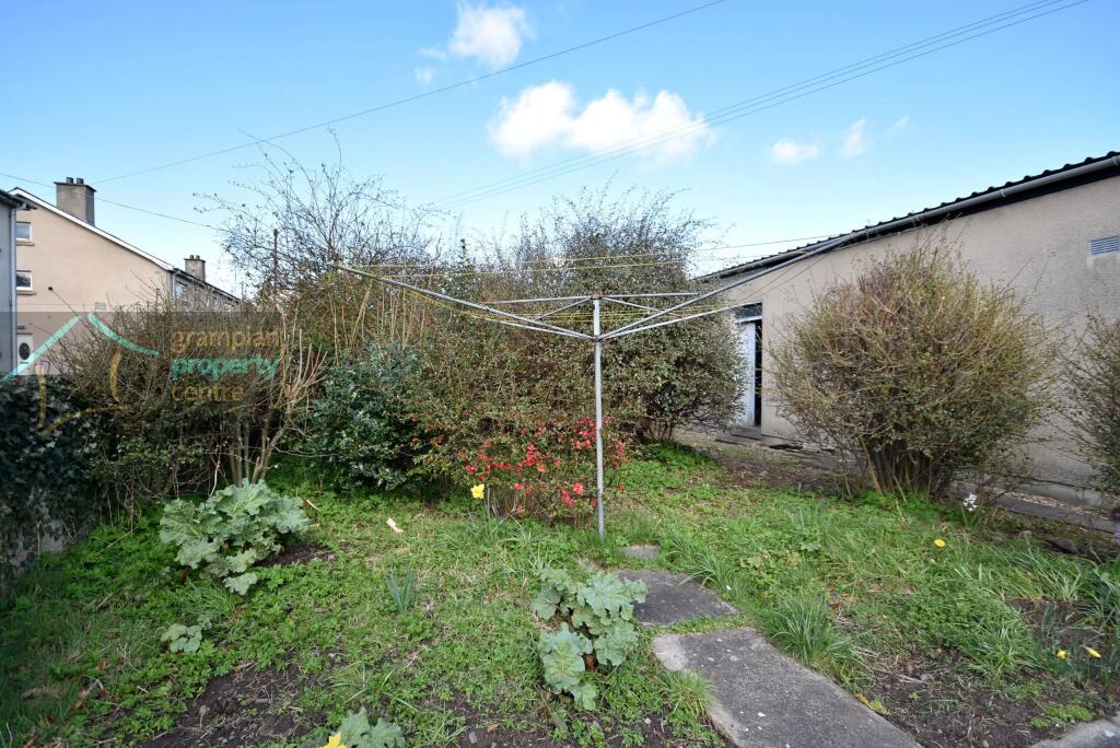 garden .JPG