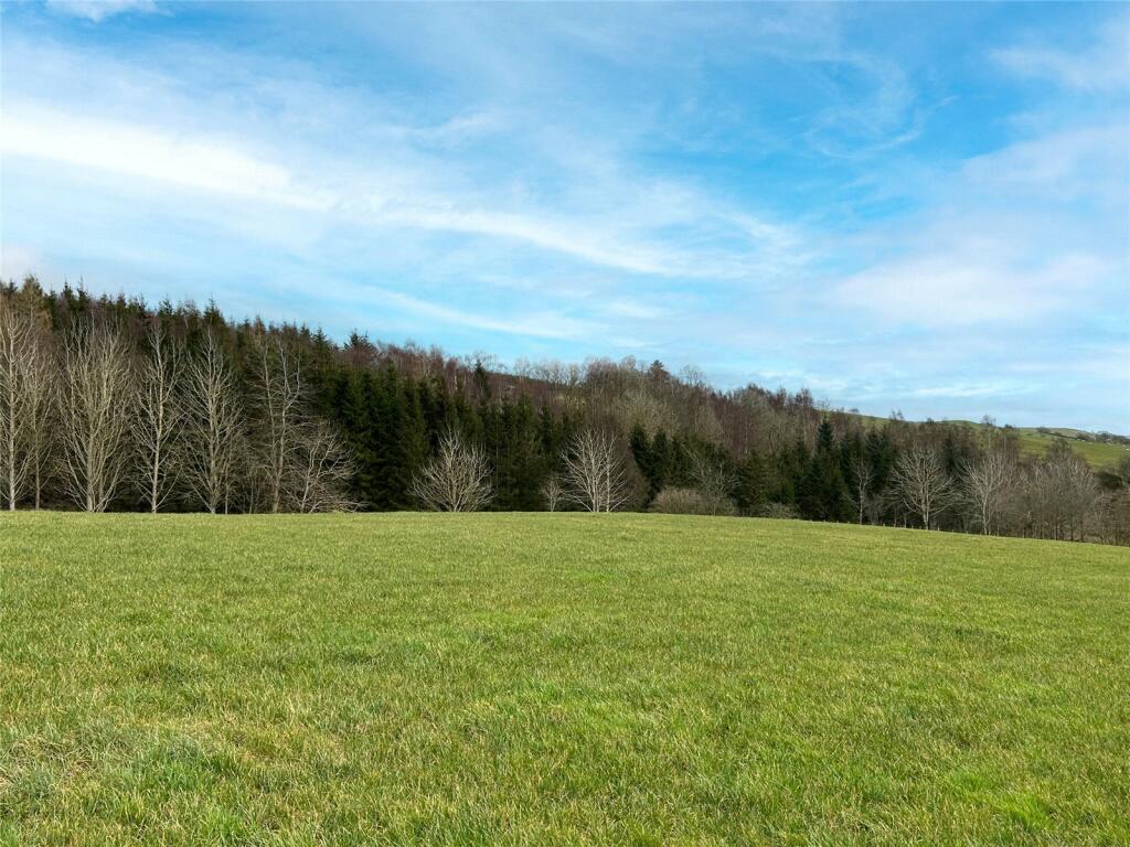 Woodland