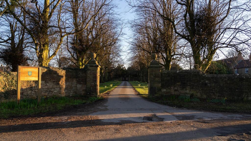 Tree lined driveway