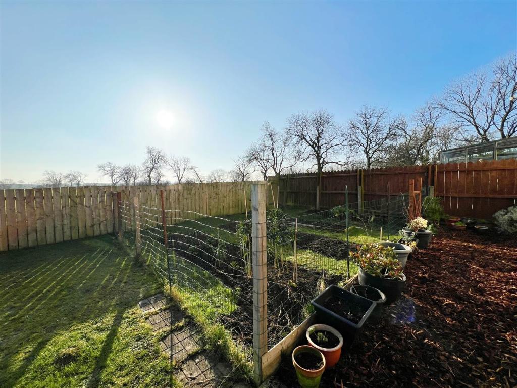 Garden 2.jpg
