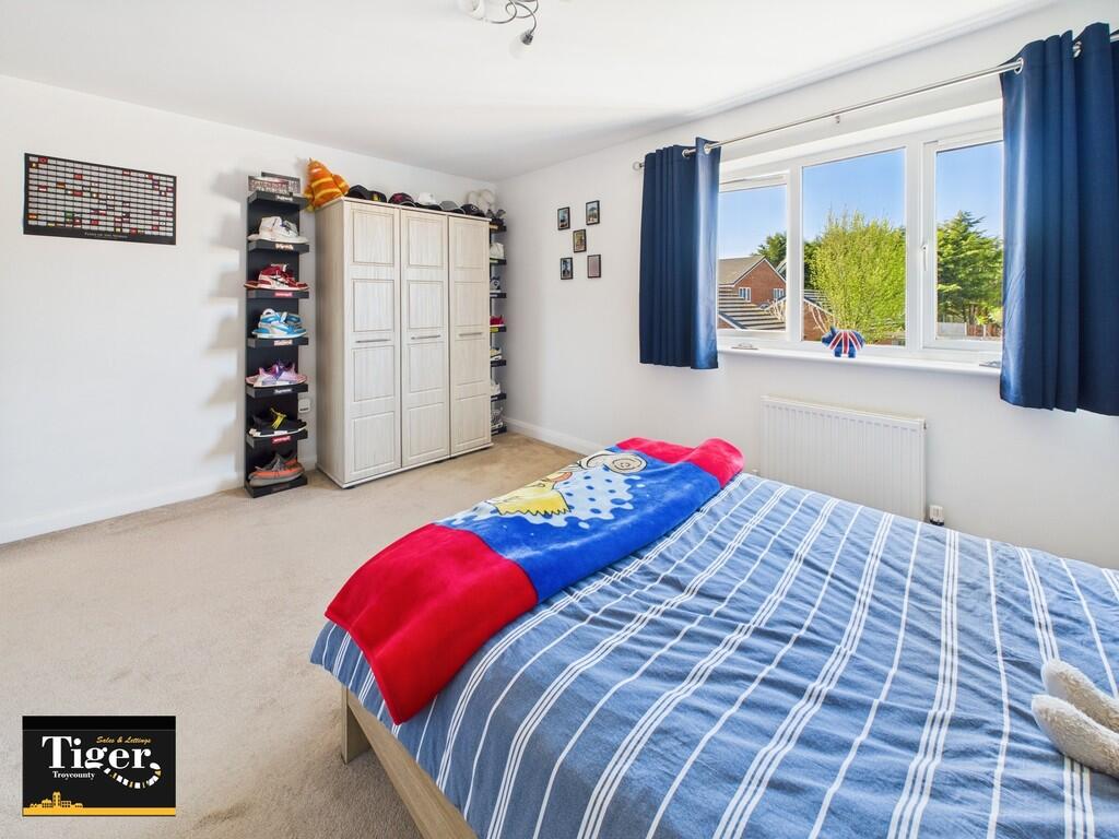 CAM02176G0-PR0538...