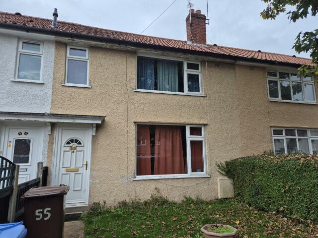 20241029 135342 (Small) T202411041127.jpg