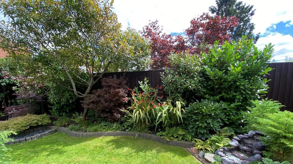 Rear Garden and Water Feature