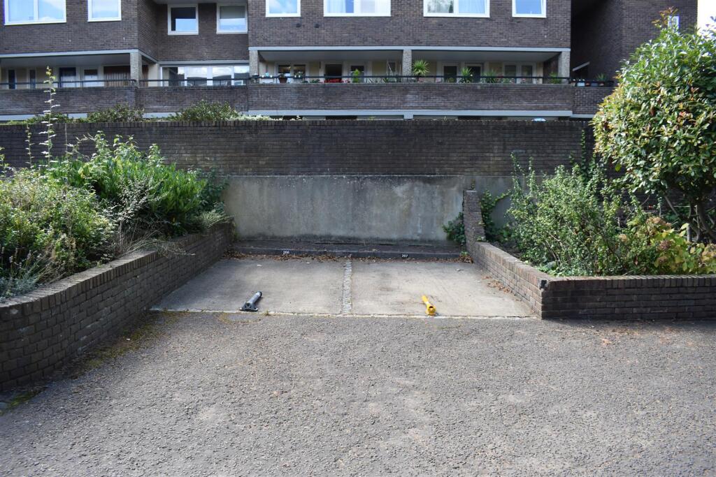 DSC_0502.JPG