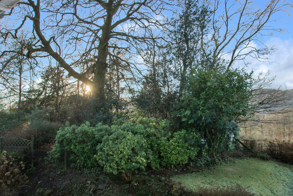 Communal Garden 
