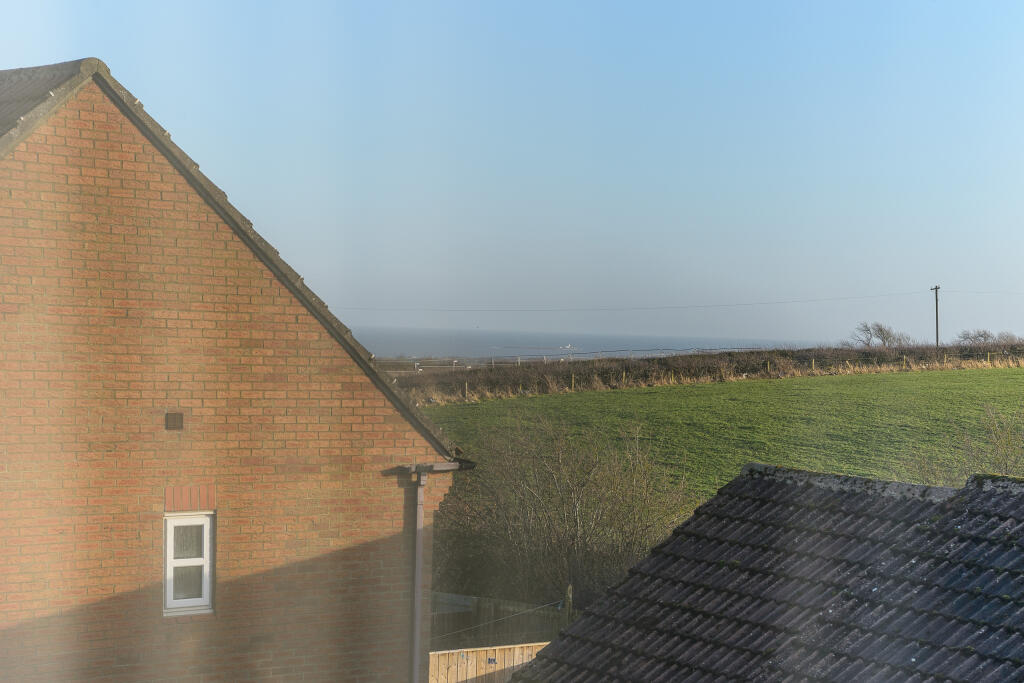 Window View-2