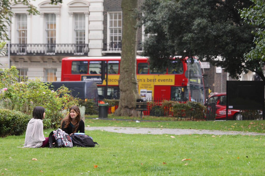 Tavistock Bow 2-3...