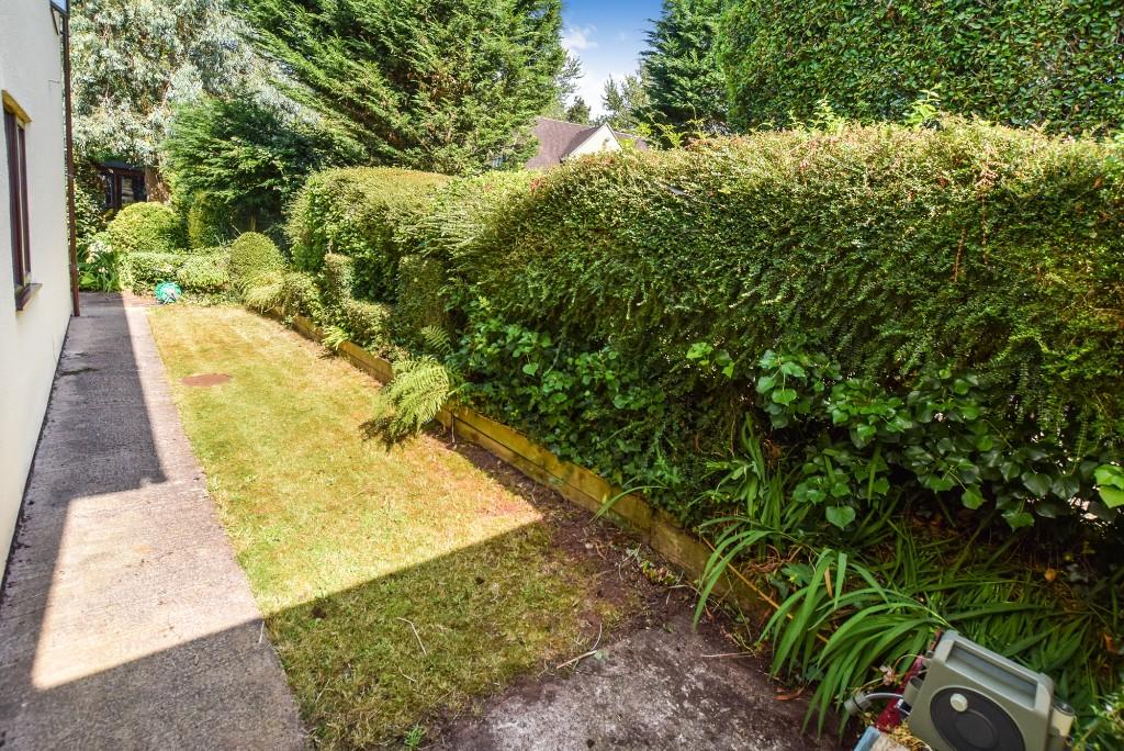 Side garden