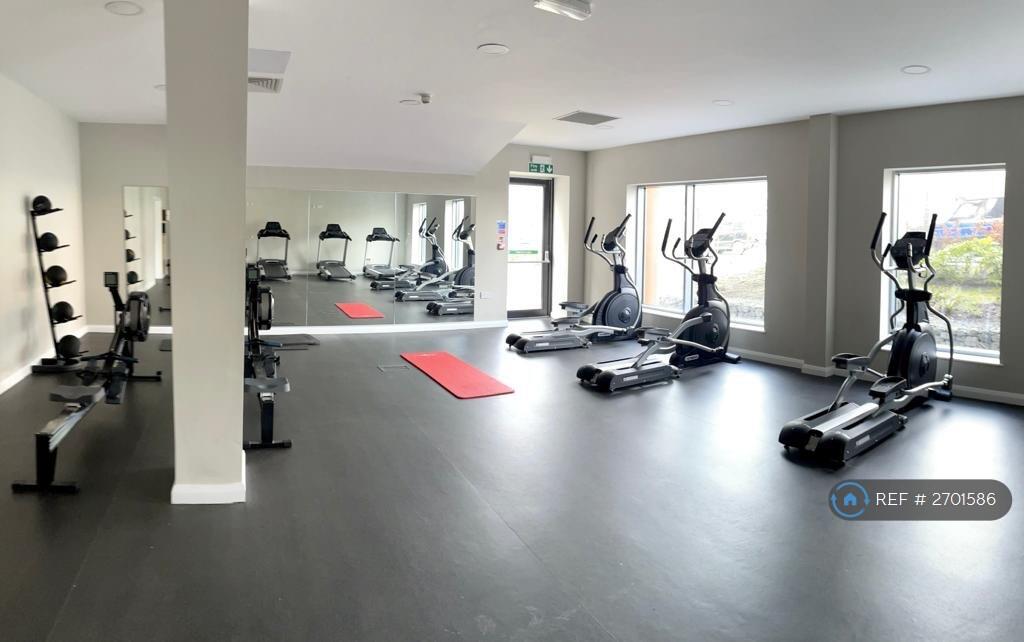 Fully Equipped Gym And Pilate Studio